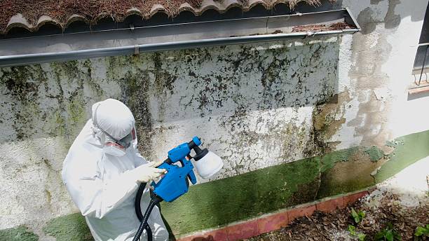 Trusted Mold Testing service in Wrightsville, PA - Cheap Mold Removal